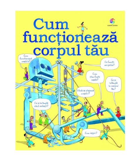 Imagine Cum functioneaza corpul tau