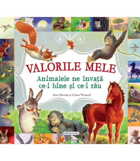 Imagine Valorile mele. Animalele ne invata ce-i bine si ce-i rau