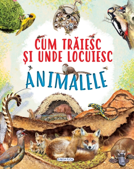 Imagine Cum traiesc si unde locuiesc animalele